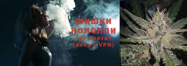 ГАЛЛЮЦИНОГЕННЫЕ ГРИБЫ Тутаев