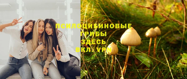 метамфетамин Туринск