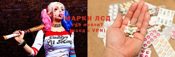 ГАЛЛЮЦИНОГЕННЫЕ ГРИБЫ Тутаев