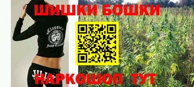 МДПВ Татарск