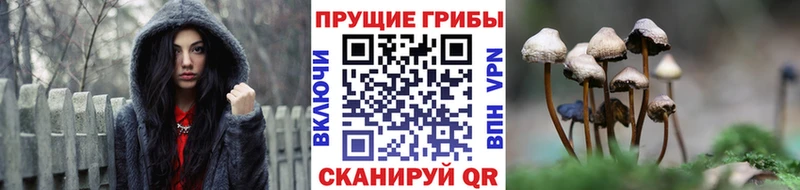 Галлюциногенные грибы ЛСД  Новочебоксарск 