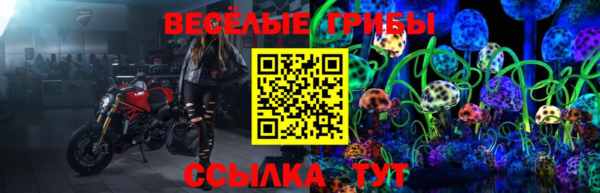 Галлюциногенные грибы мухоморы  Галлюциногенные грибы GOLDEN TEACHER  Вход с VPN  Новочебоксарск 